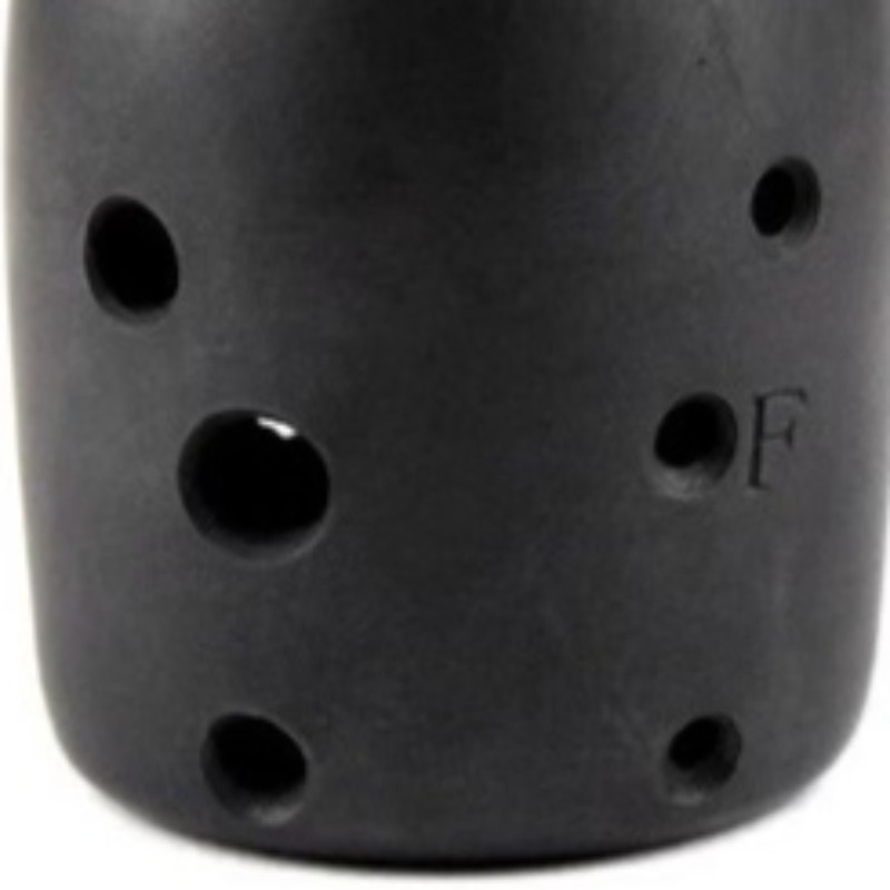 8 Hole Musical Xun Professiona - огляд і ціна Musical Instrument Xun