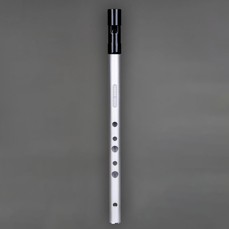 D Key 6 Hole Penny Whistle Met - огляд і ціна Tin Whistle Flute