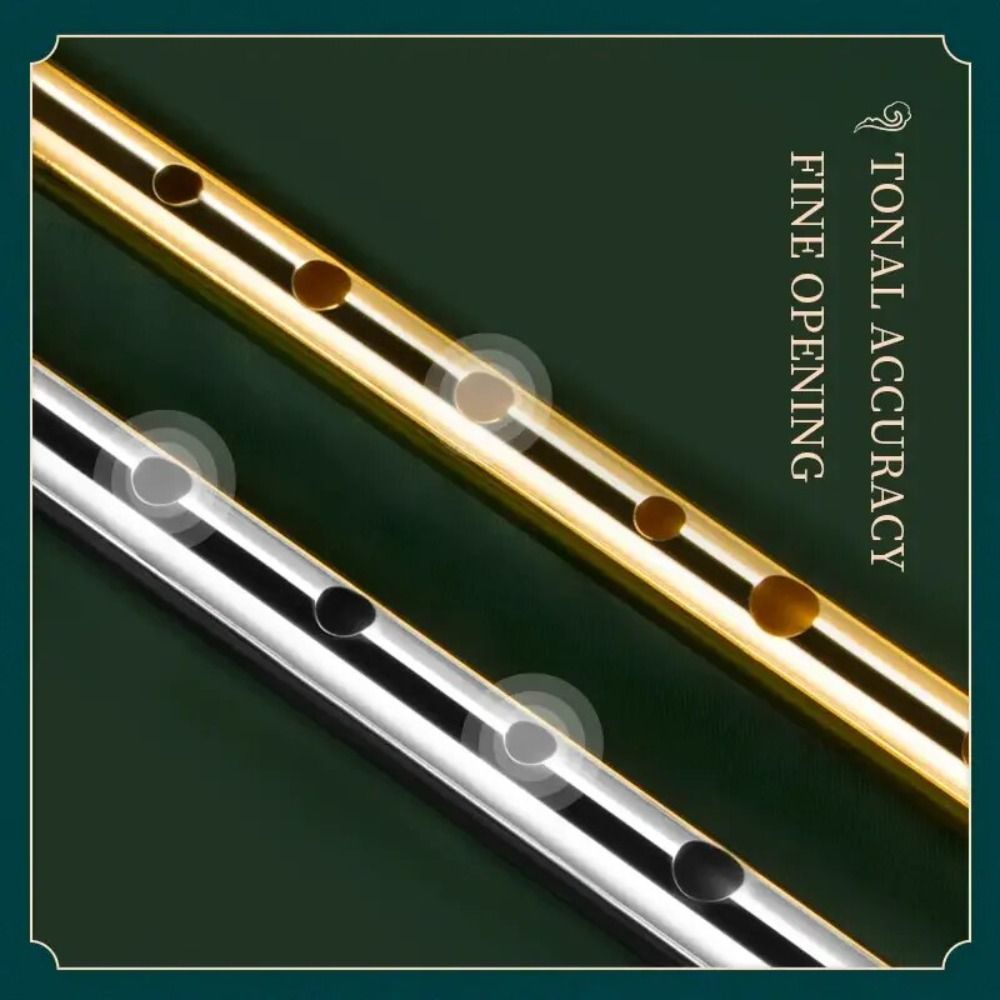 C/D Key Irish Whistle Flute 6  - огляд і ціна Tin Whistle Flute