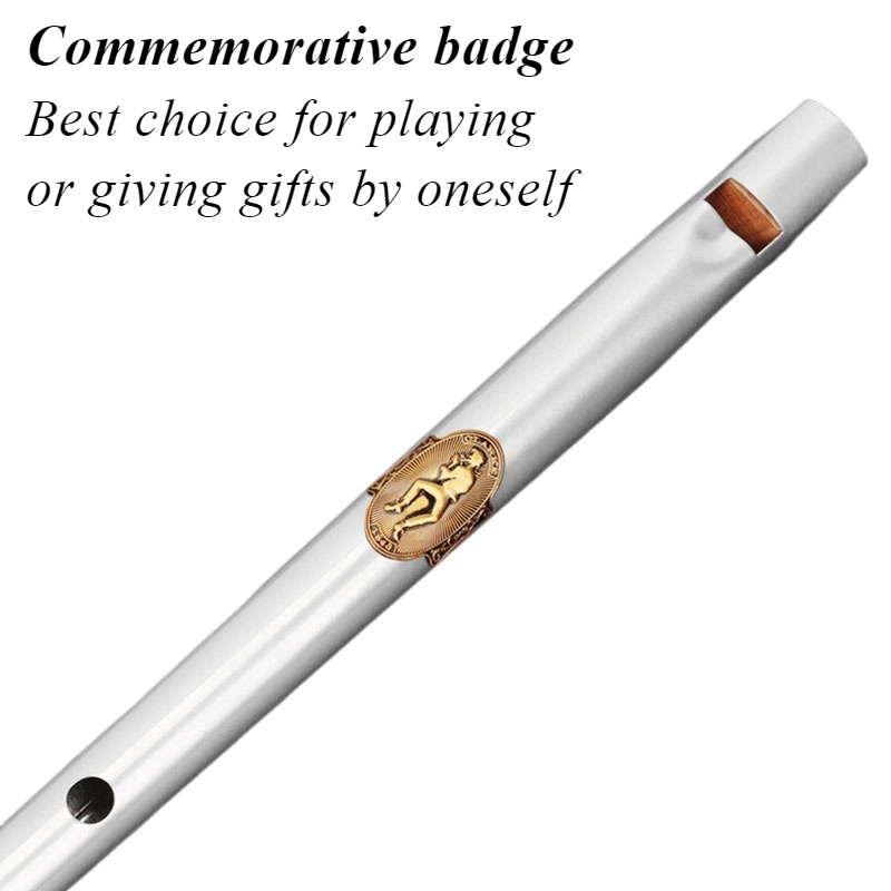 D/C Key Tin Whistle Student Be - огляд і ціна Tin Whistle Flute